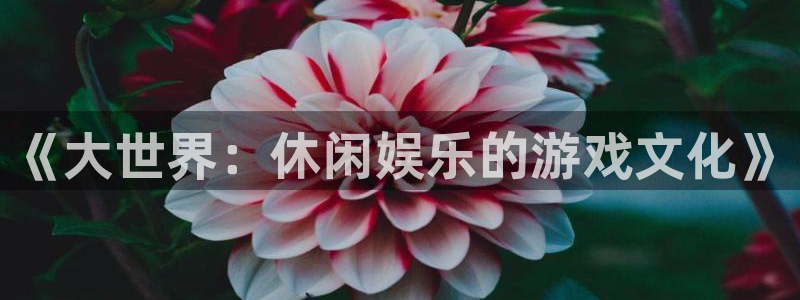 富联娱乐代理：《大世界：休闲娱乐的游戏文化》